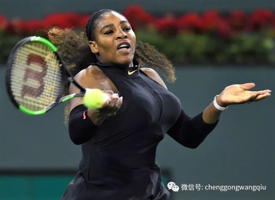  科贝尔关键分把握精准，险胜同胞跻身八强